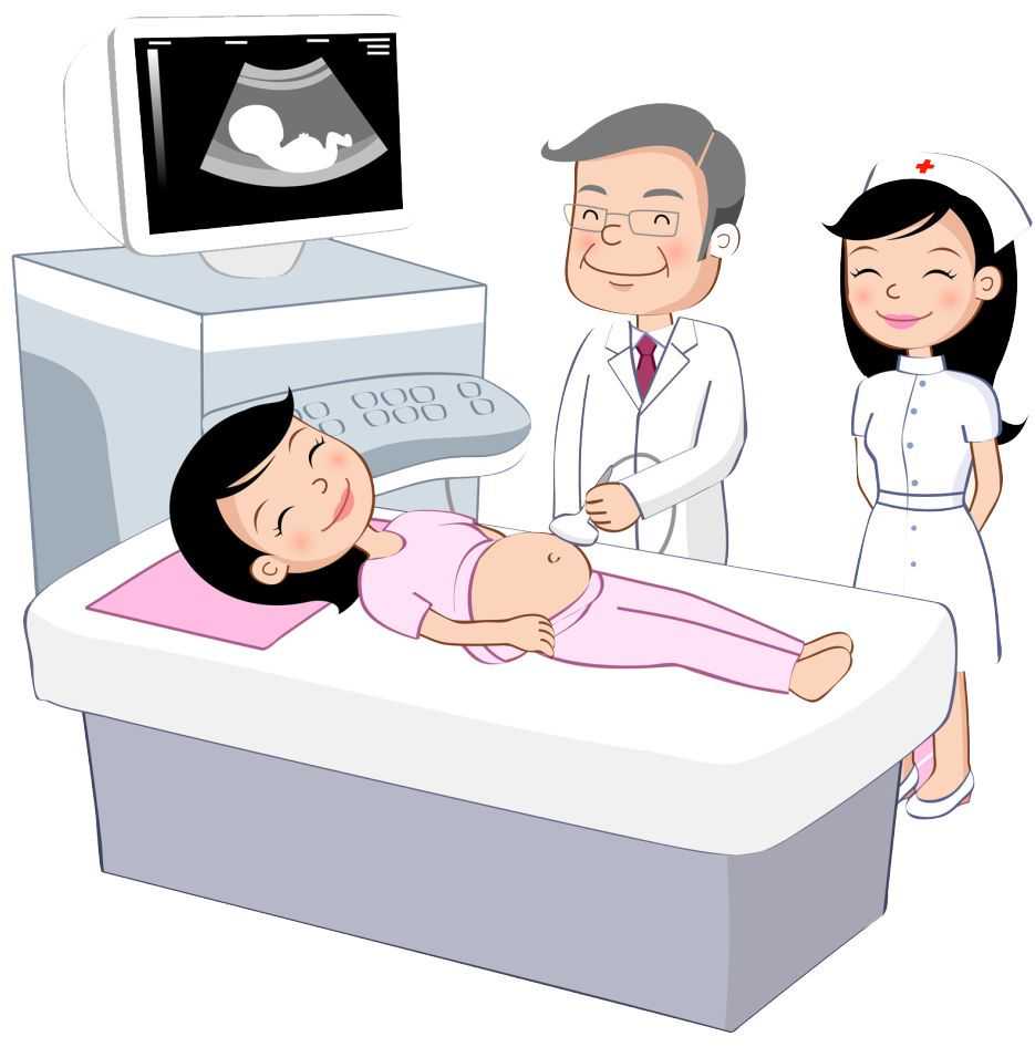 孕期哪个阶段是胎儿畸形的高发期？